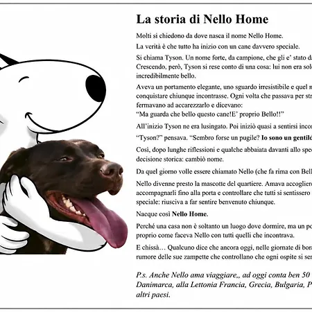 Апартаменты Nello - Reception *